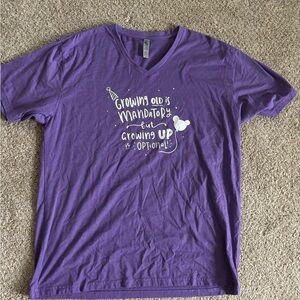 Pixie Lee and Co Disney Birthday shirt